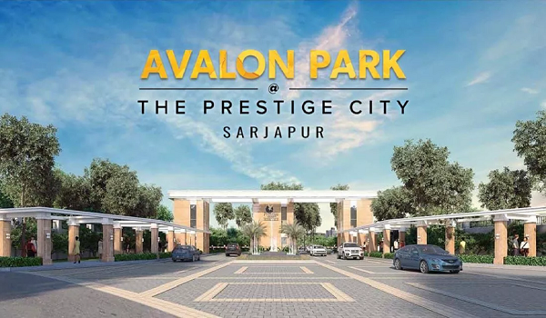 Prestige Avalon Park